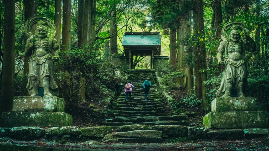 緑の中の彩り